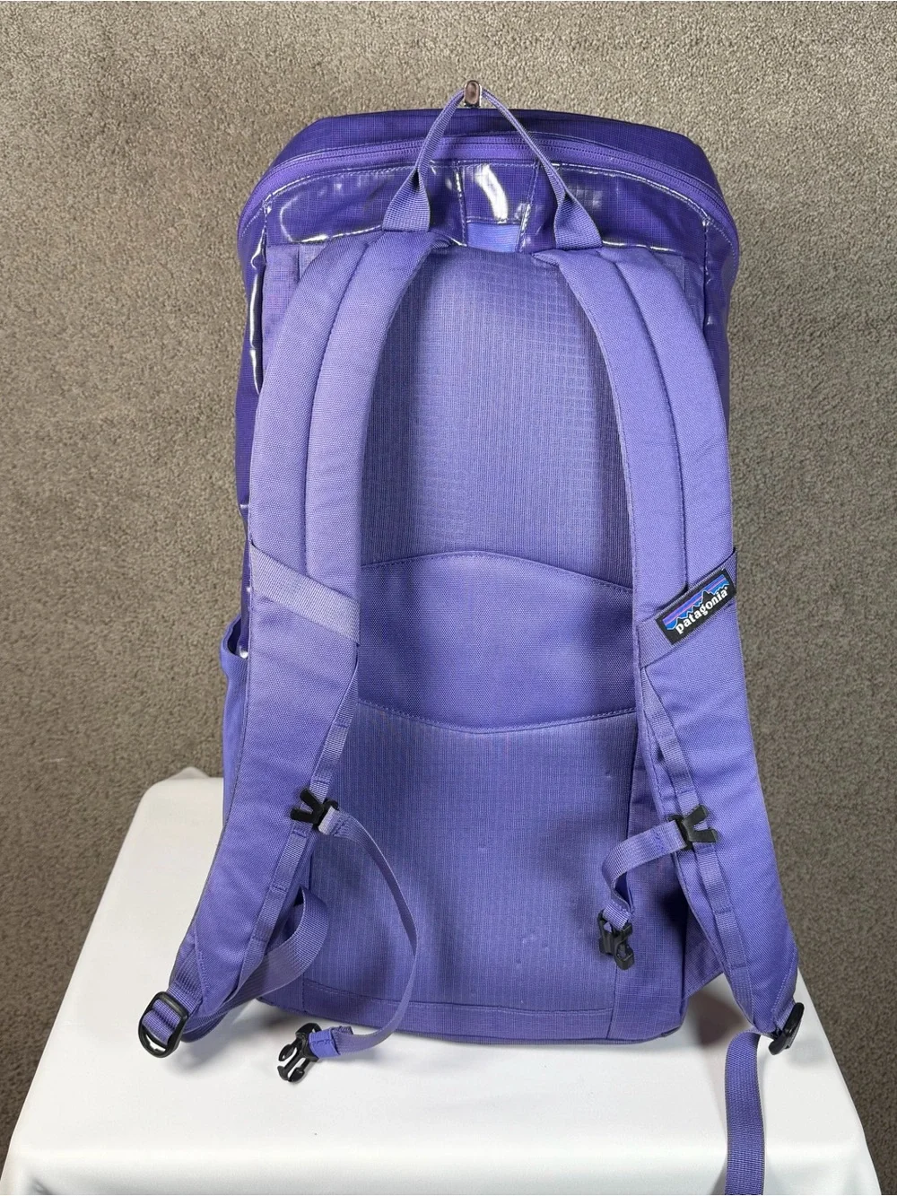 Patagonia Black Hole 25L Backpack Purple EUC